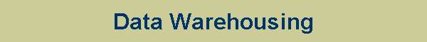 Data Warehousing
